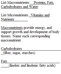 Essential Nutrients Study Guide